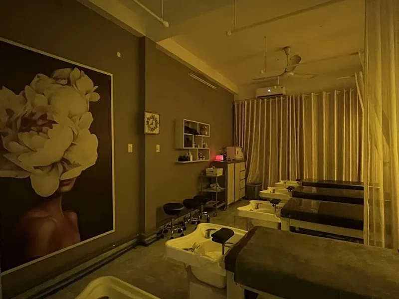 Gội đầu dưỡng sinh doze