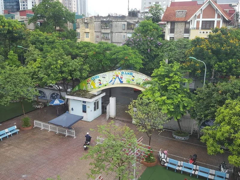 Trường Mầm Non Hoa Hồng