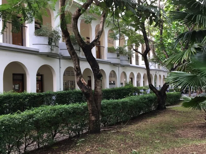 Trường Tiểu Học - THCS - THPT Nam Sài Gòn