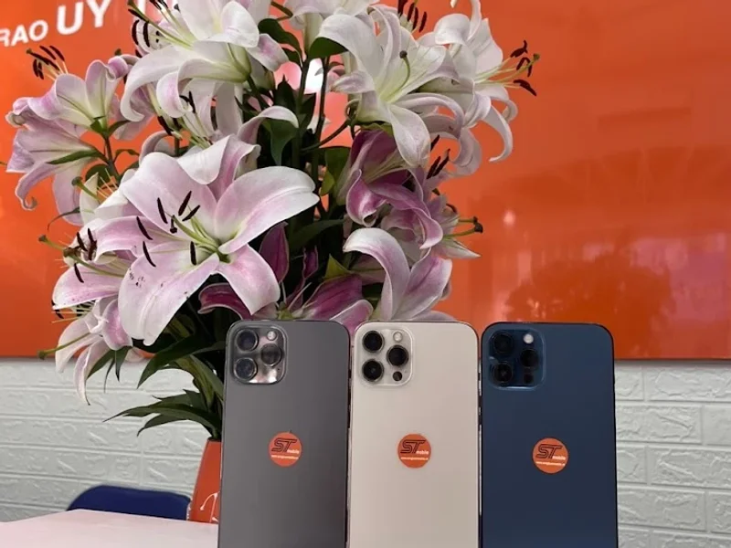 songtuanmobile - Chi Nhánh Q.11