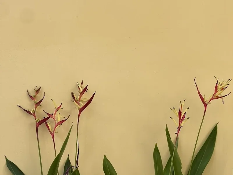 Jade Garden - Secret Courtyard in Saigon
