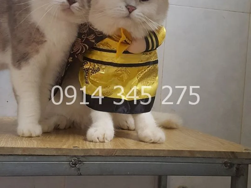 Quán Ăn Gia Đình Dũng