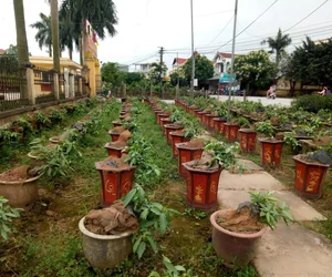 quán cafe yên tĩnh tại Huyện Văn Giang Hưng Yên