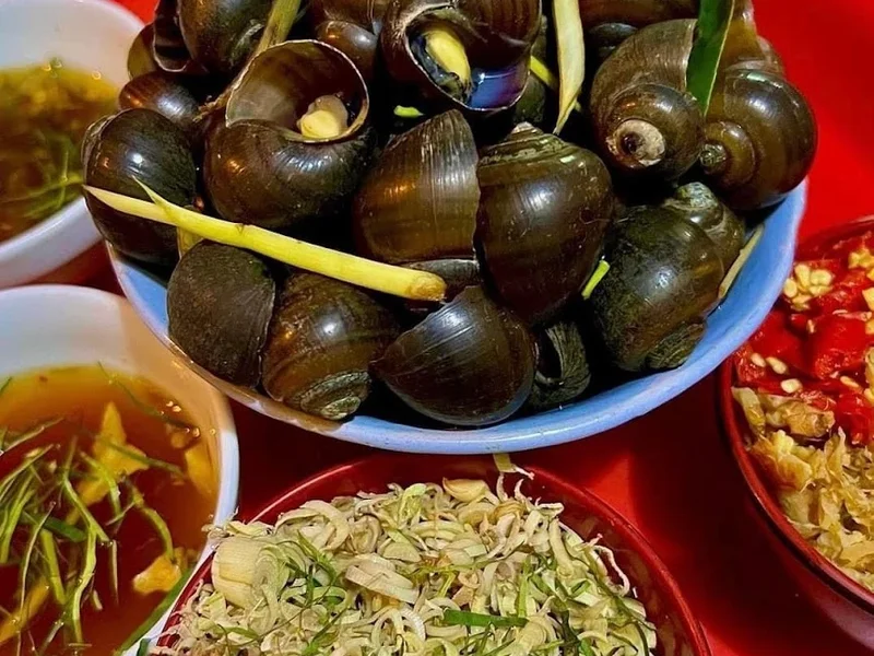 Ốc Cô Hà - 16 Bến Ngự