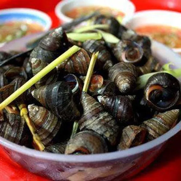Ốc 13 Bến Ngự