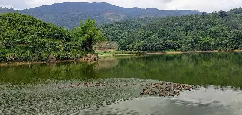 Nhà Hàng hồ Ná Luộc