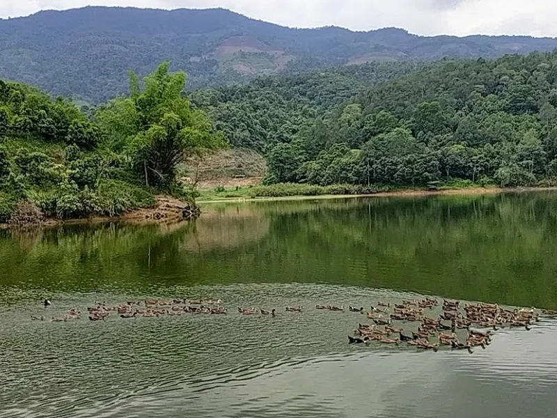 Nhà Hàng hồ Ná Luộc