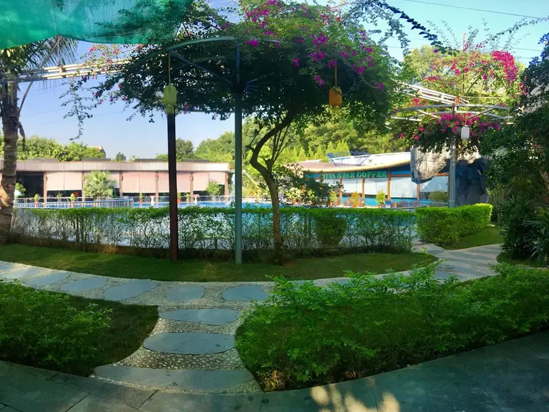 Cafe - Bể Bơi Tiến Phương