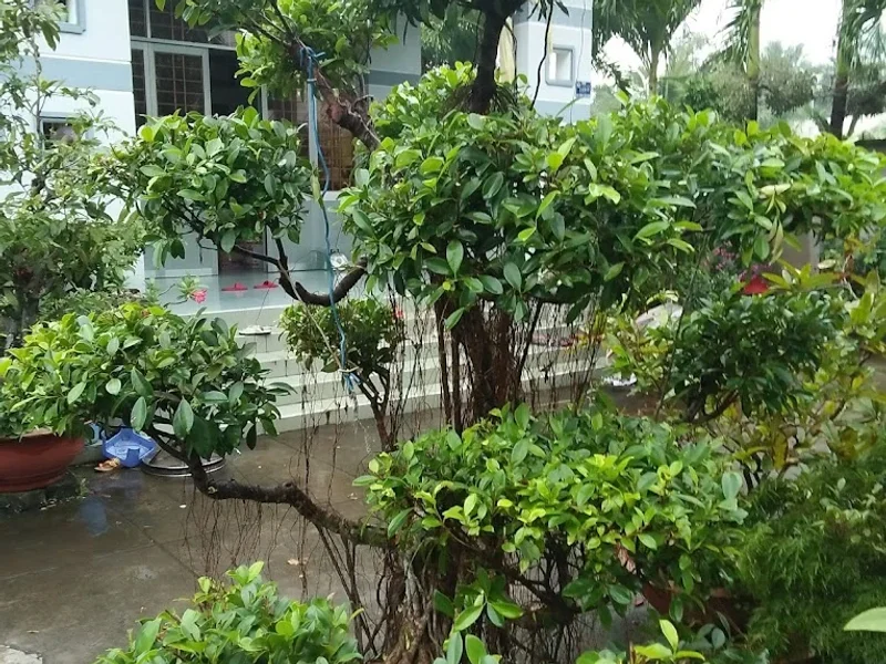 Nhà hàng Tiệc Cưới Minh Châu