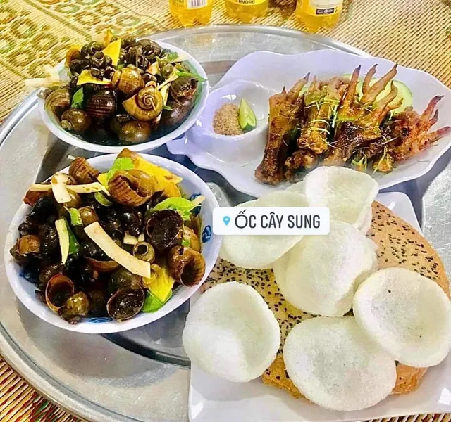 Cạnh Ốc Cây Sung