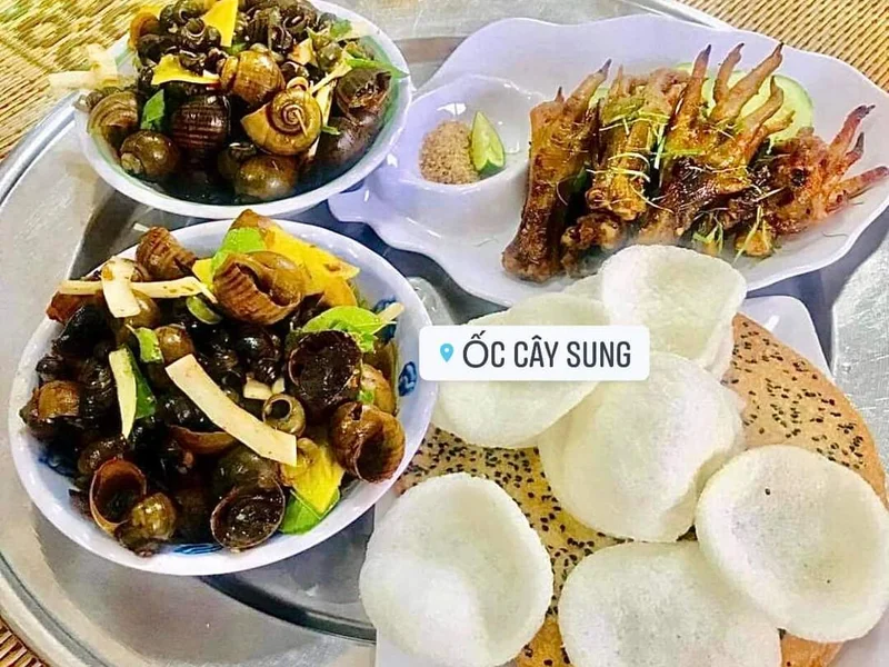 Cạnh Ốc Cây Sung