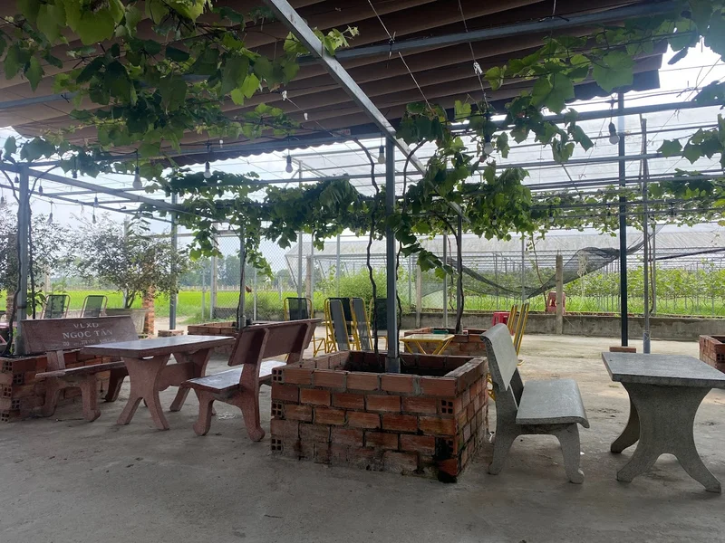Vườn Nho Mộc Nhi Coffee & Tea