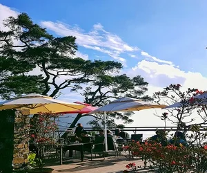 quán cafe sân vườn tại Tam Đảo Vĩnh Phúc