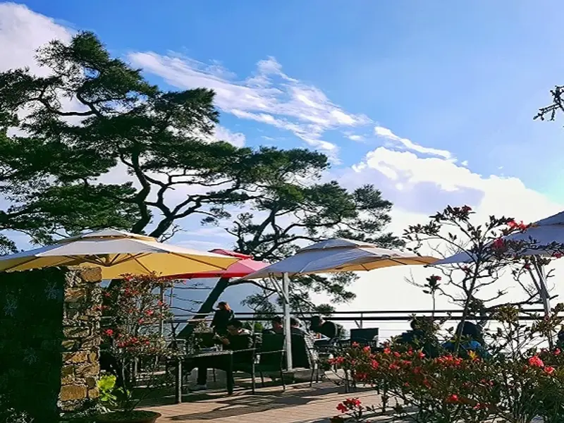 Quán Gió Tam Đảo