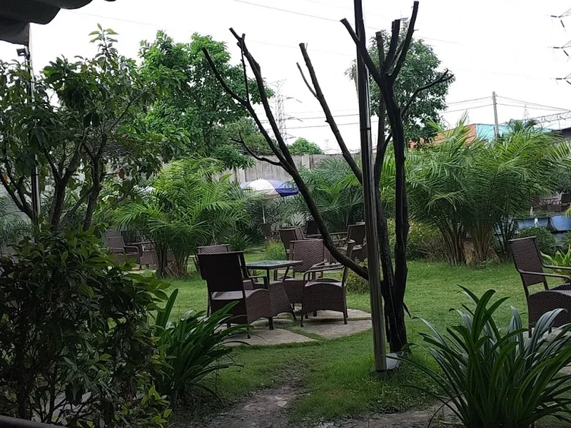 Coffee vườn lá cọ