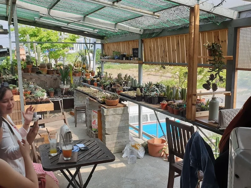 CAFE PHONG CÁCH HIỆN ĐẠI NẰM VEN ĐƯỜNG NGUYỄN ĐÌNH THI HÒA XUÂN