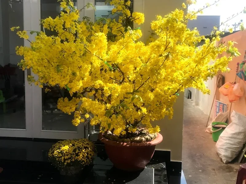 Quán Ăn Tiền Hải