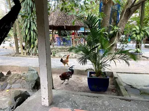 quán vịt tại Nhơn Trạch Đồng Nai