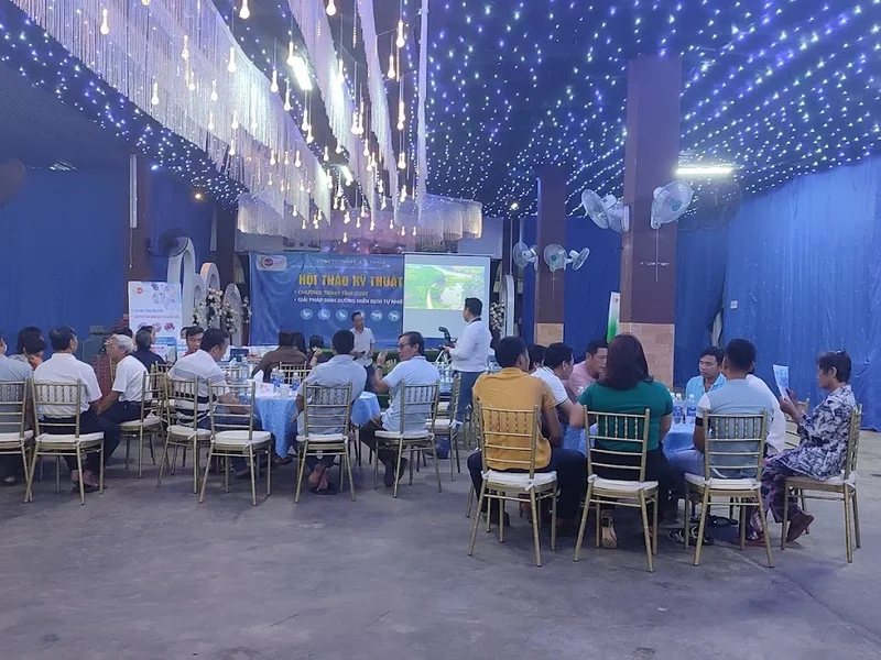 Tiệc cưới Ba Đen