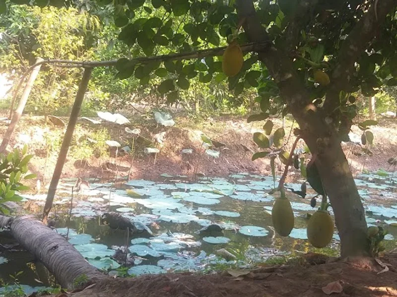 Quán ăn sinh thái Danh Tiến