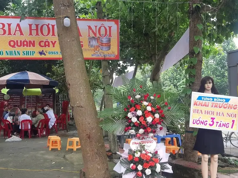 Quán bia Cây Bàng