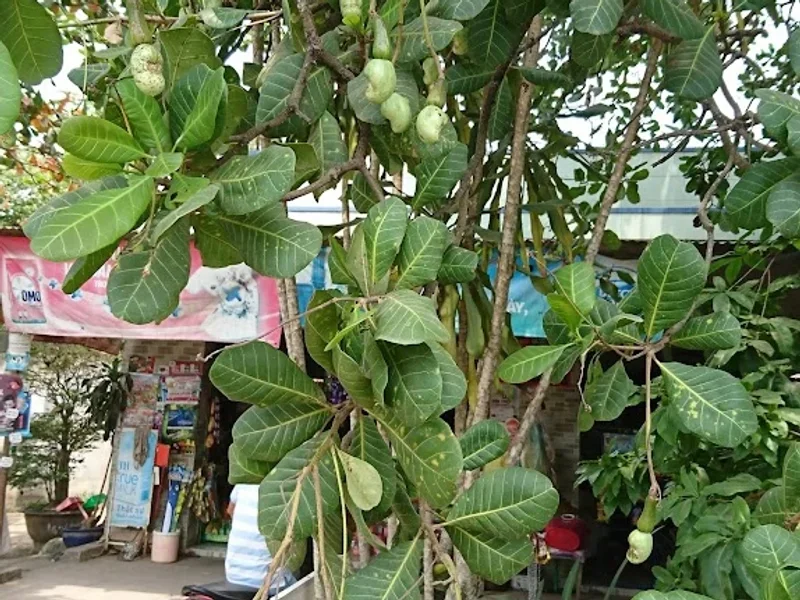 Quán Ăn Gia Đình Lẩu Nướng Bia Lạnh