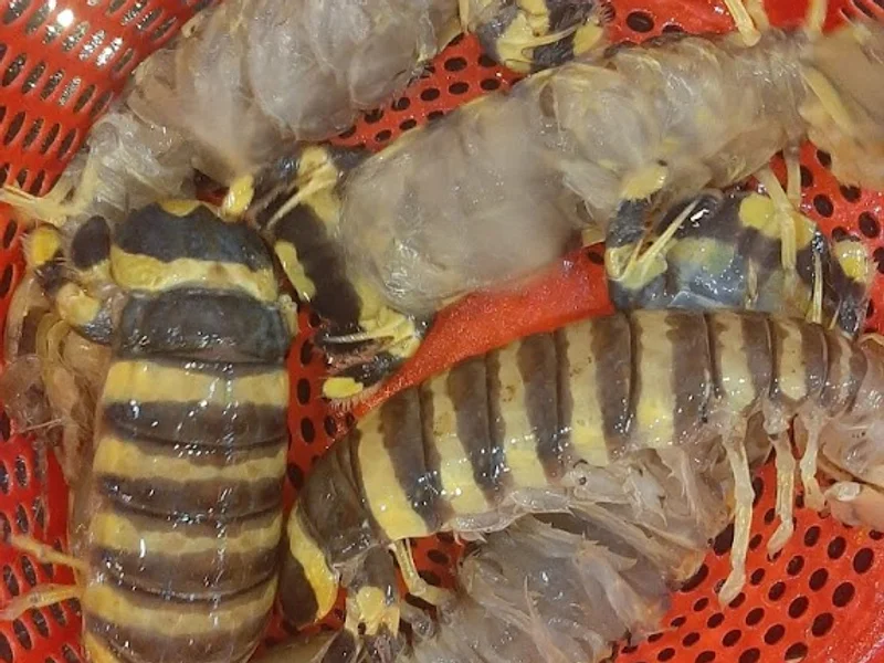 Nhà hàng Hải Sản Thanh Ngố