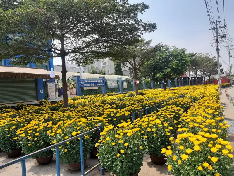 Trường Tiểu học Kim Đồng