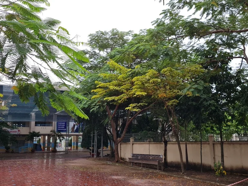 Trường Tiểu học Lê Quý Đôn