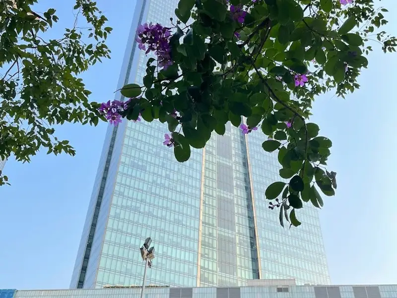 Trường Tiểu học, THCS và THPT Thực nghiệm Khoa học Giáo dục