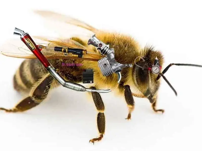 Trường THPT Mạc Đĩnh Chi