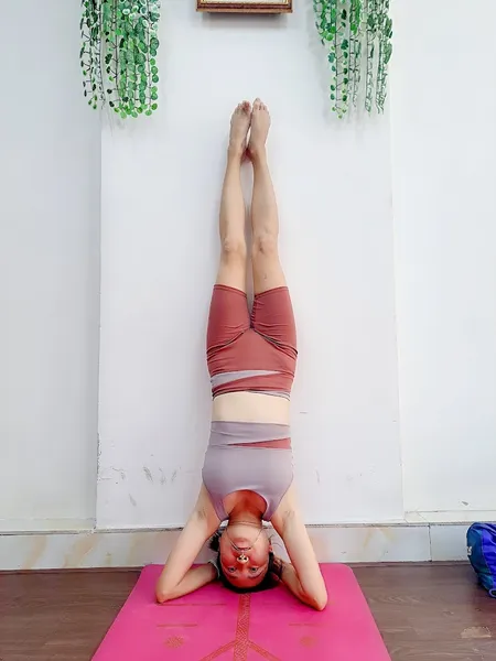 Thủy Mộc Yoga & Fitness