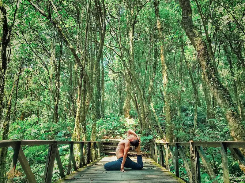 Nguyên Yoga - Lớp Yoga và Đào Tạo Giáo Viên | HCM