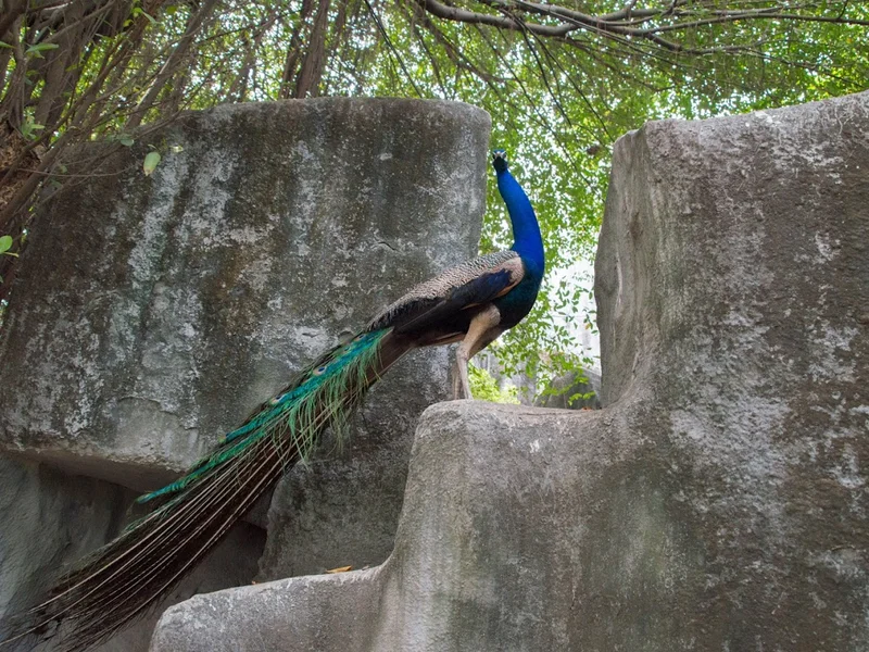 Vườn thú Đầm Sen