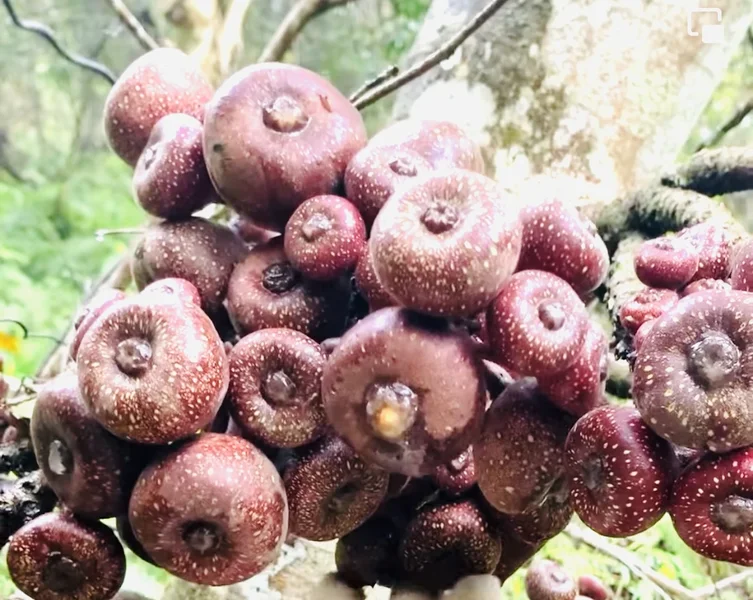 Quán ăn gia đình Rất Huế