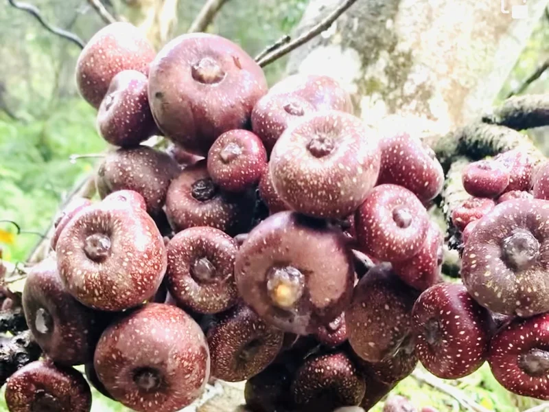 Quán ăn gia đình Rất Huế