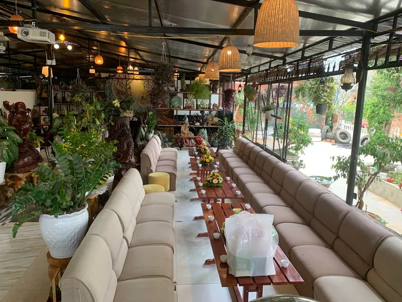 Cà Phê, Vườn Lan Gỗ Đá