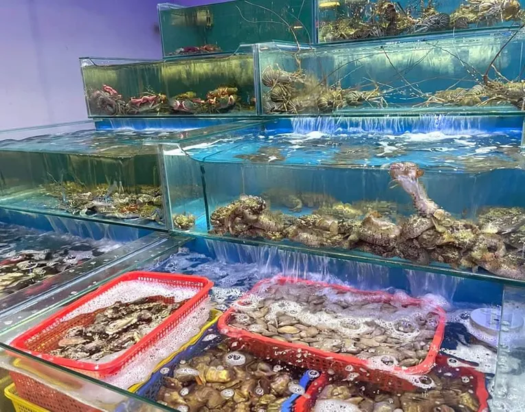 Ốc Ngon Hố Nai