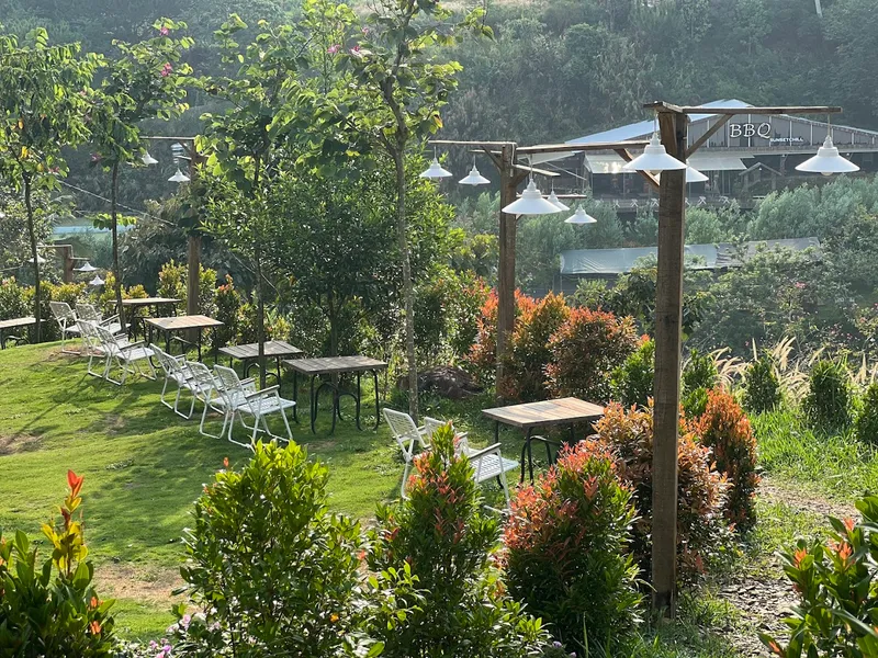 🇻🇳 𝐒𝐔𝐍𝐒𝐄𝐓 𝐂𝐇𝐈𝐋𝐋 🇻🇳 𝐅𝐀𝐑𝐌 - 𝐁𝐁𝐐 - 𝐁𝐄𝐄𝐑 𝐂𝐇𝐈𝐋𝐋 🇻🇳 𝐁Ả𝐎 𝐋Ộ𝐂