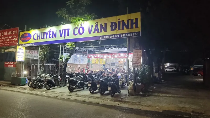 Vịt Cỏ Doanh Chính. Vịt Dé Tươi