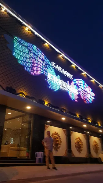 Karaoke Kingdoms