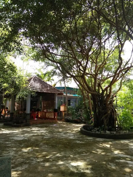 Cafe Sân Vườn Đồng Xanh