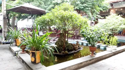 Top 11 quán cafe sân vườn tại Quảng Nam