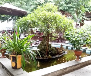 quán cafe sân vườn tại Quảng Nam