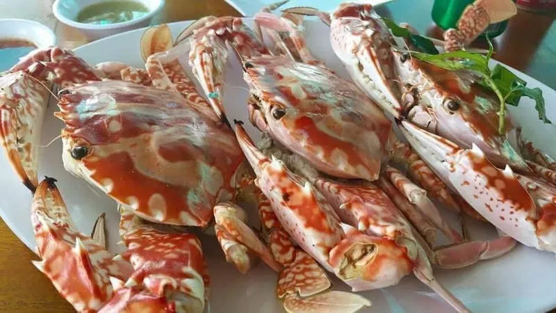Quán Hải Sản Thạch Thảo