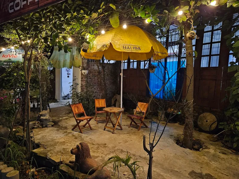 Blue moon Coffee & Drinks
