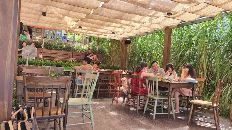 ShareKafe Tam Kỳ