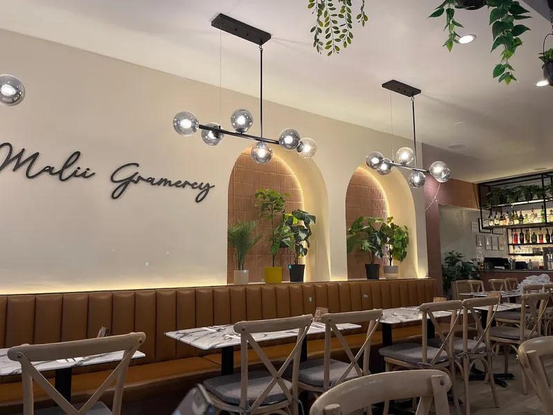 Dining ambiance of restaurant Malii Gramercy 3