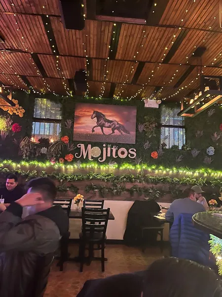 Dining ambiance of restaurant Mojitos 3