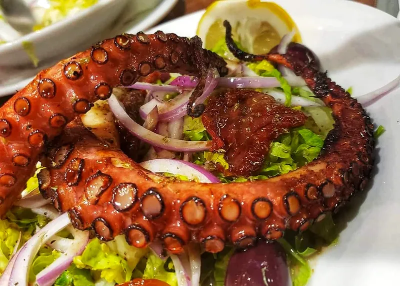 Grilled Octopus The Greek Kitchen